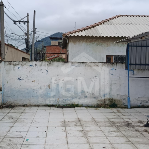 1809 (14)